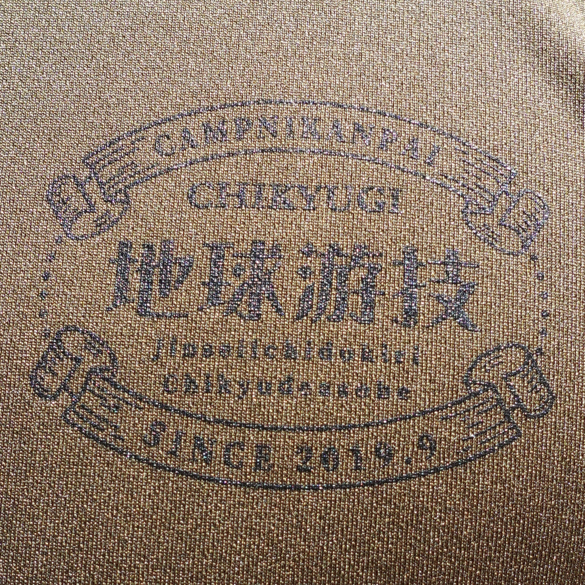 チキューギ.浪漫ドライシルキータッチ Tシャツ 4.7オンス 半袖 CGRT-4.7