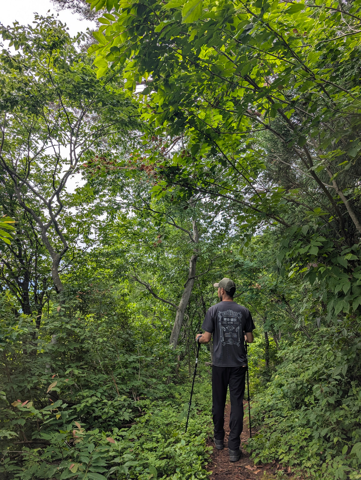 チキューギ.浪漫ドライシルキータッチ Tシャツ 4.7オンス 半袖 CGRT-4.7